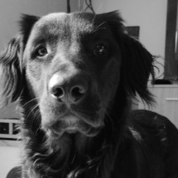Olko