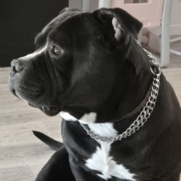 Blacky