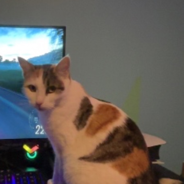 Maya