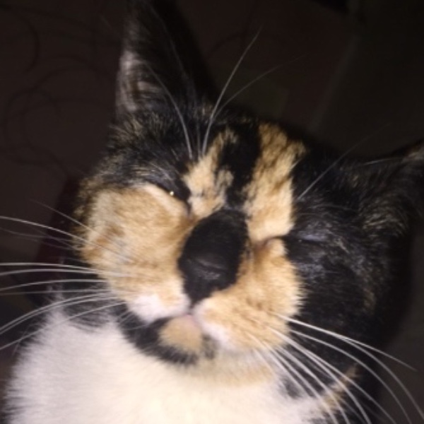 Lily