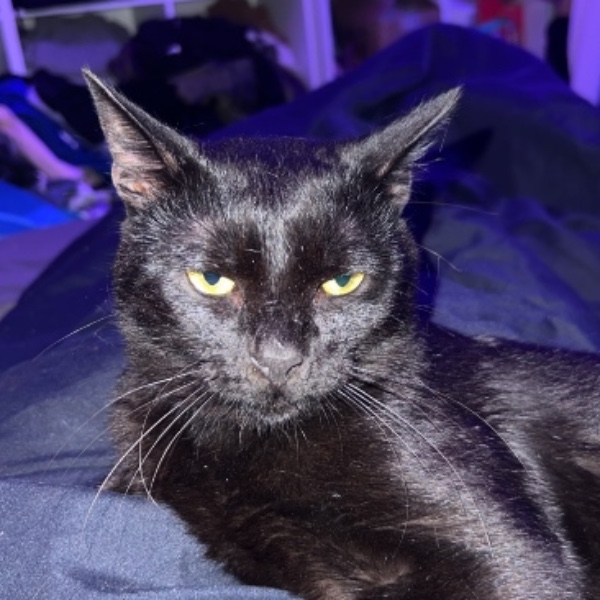 Onyx