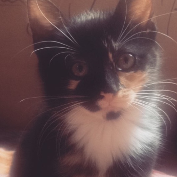 Mia