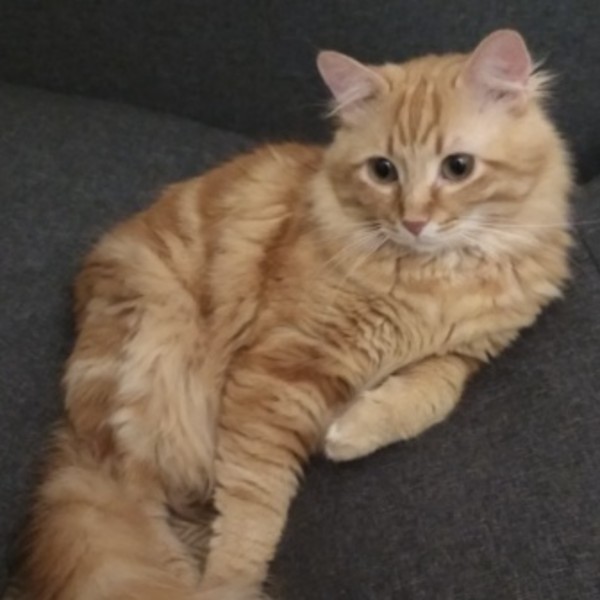Photo de Zéphyr