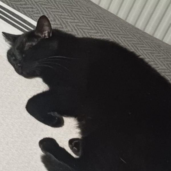 Mia
