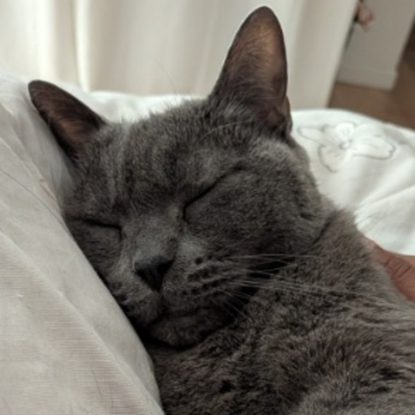 Photo de Oscar