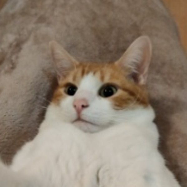 Oddball