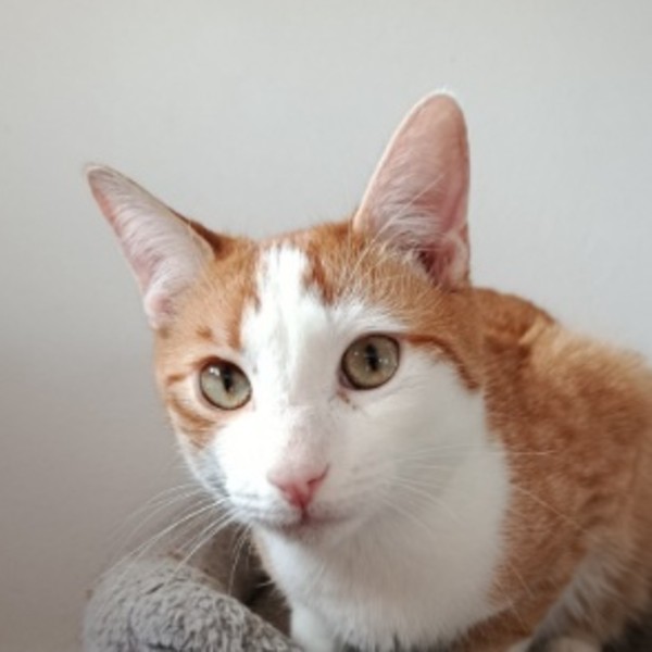 Ruben