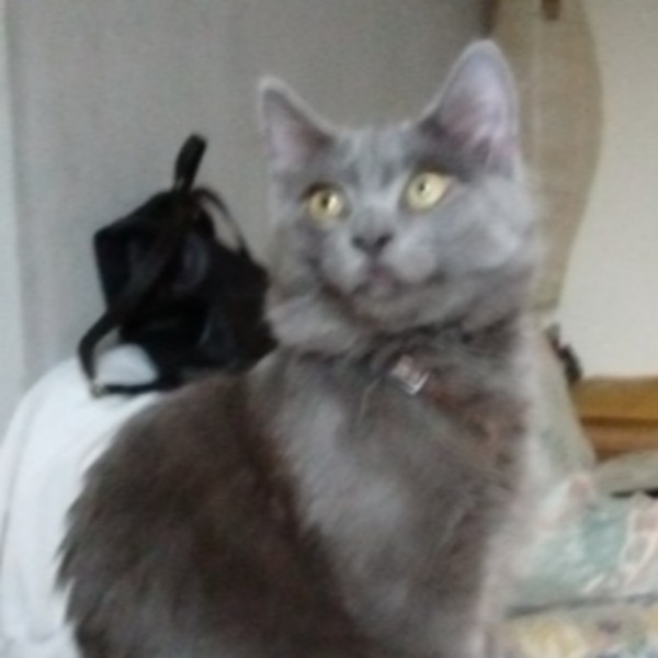 Léo