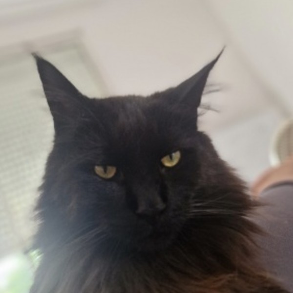 Pepper