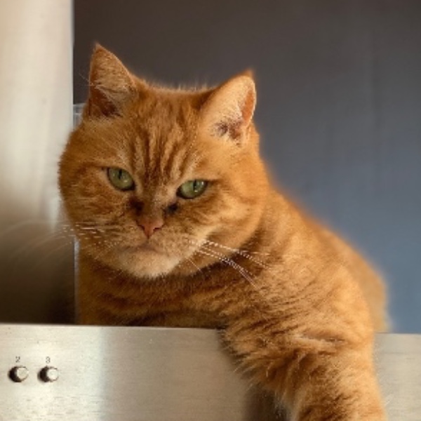 Weasley aka Bibi