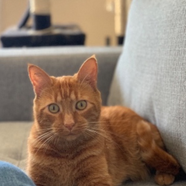 Rudy aka Titi