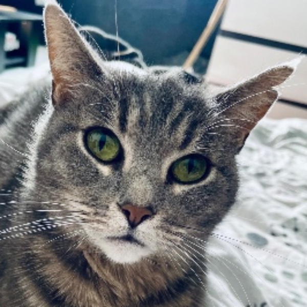 Mimi