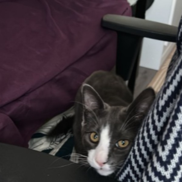 Photo de Choupitou