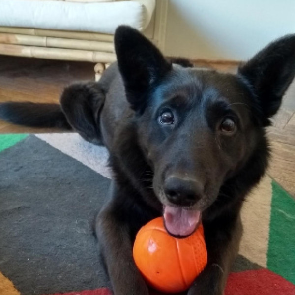 Sirius