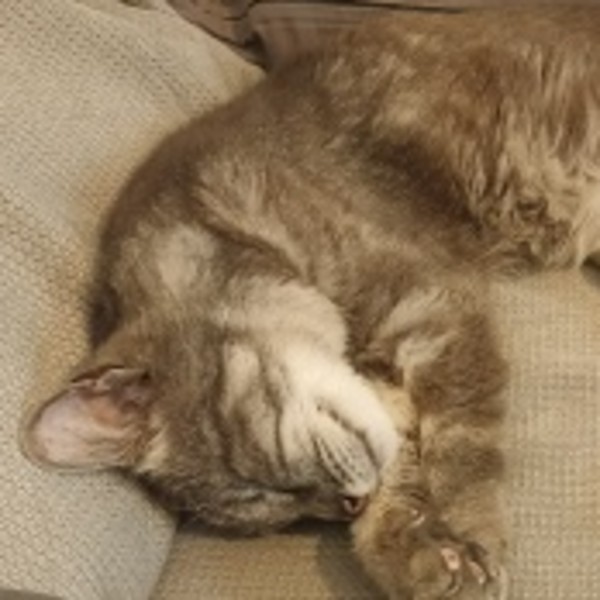 Charlie