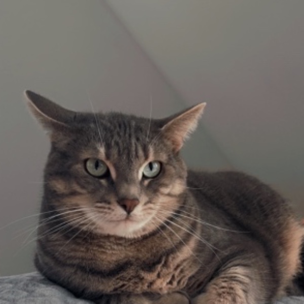 Molly