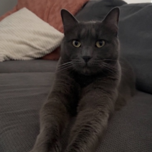 Milo