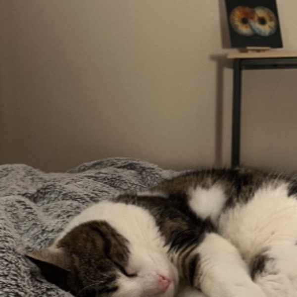 Minet