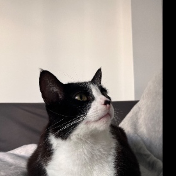 Paco