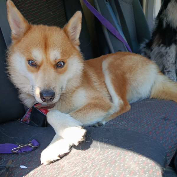 Milo