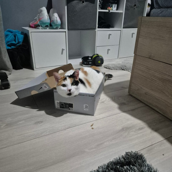 Lili