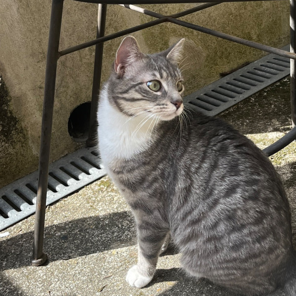 Ares