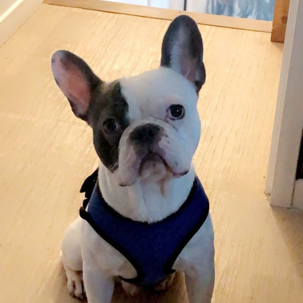 Riley