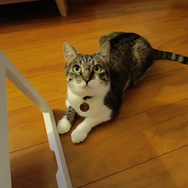 Charlie