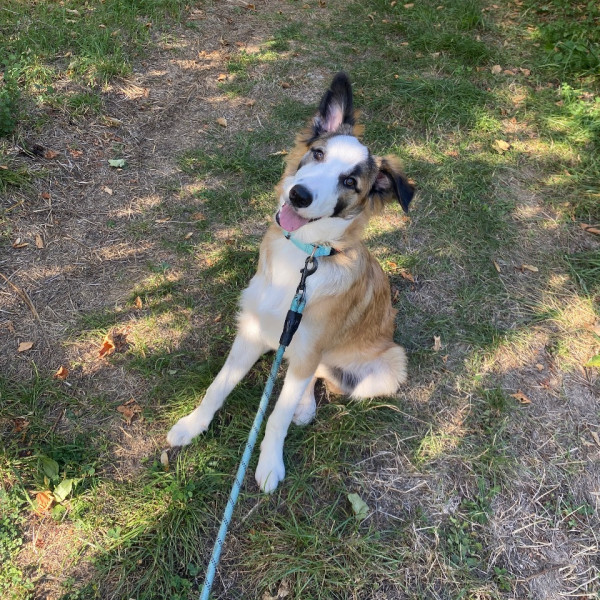 Milo
