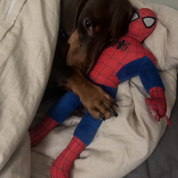 Marvel