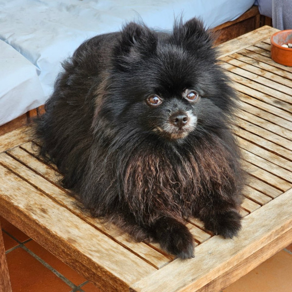Onyx