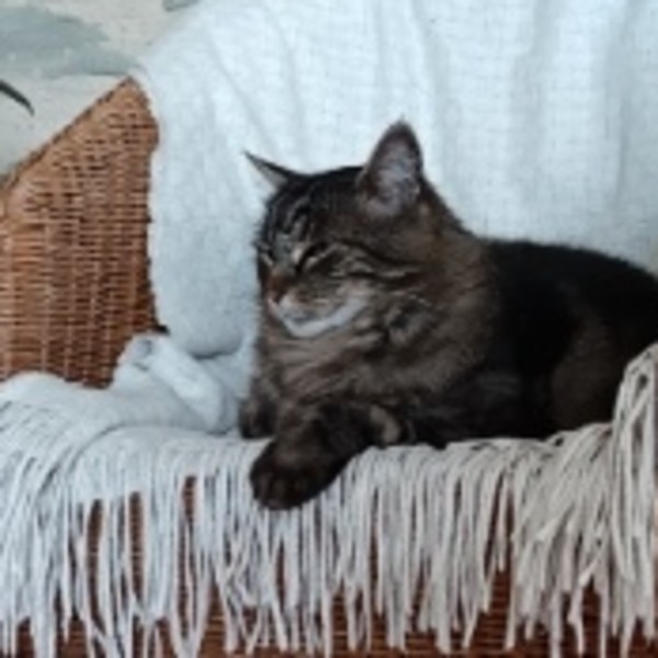Pépère