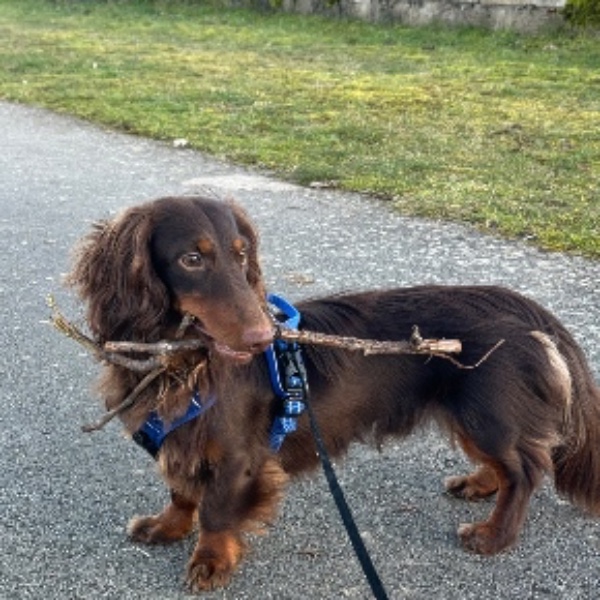 Athos