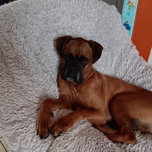 Sam
