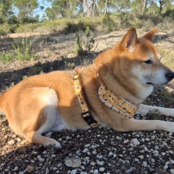 EIKO