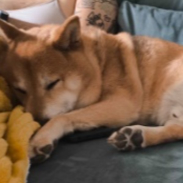 EIKO