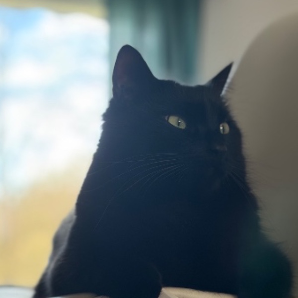 Zeus
