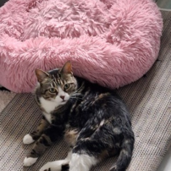 Mimi