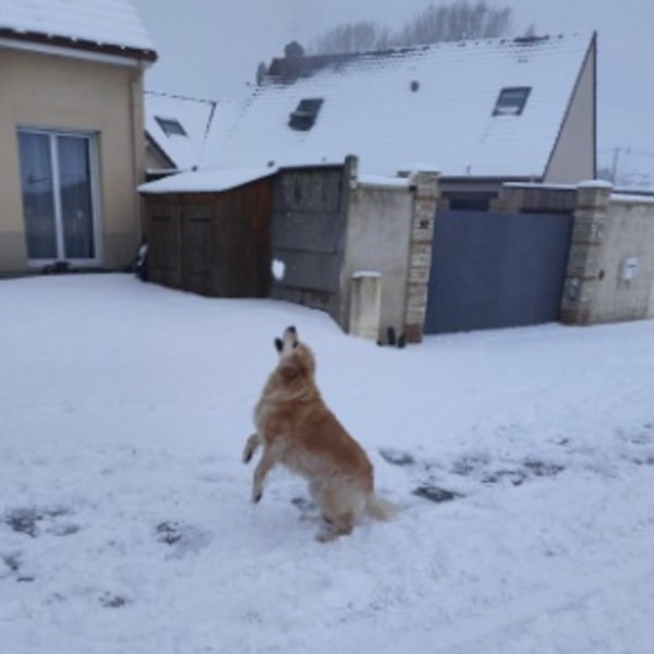 Maïna