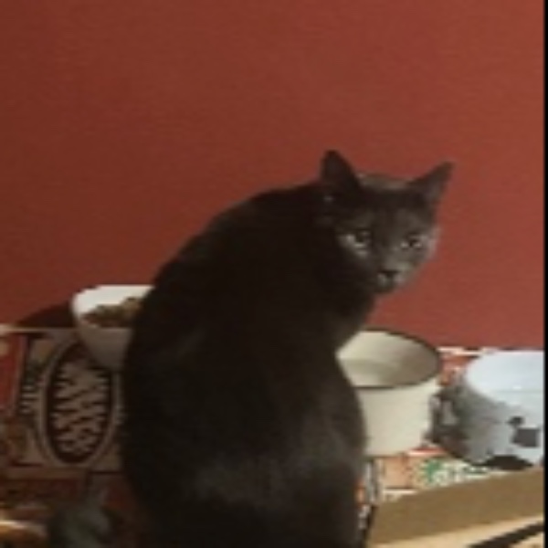 Pepper