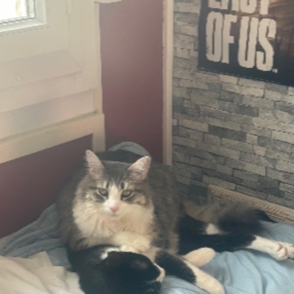 Luna
