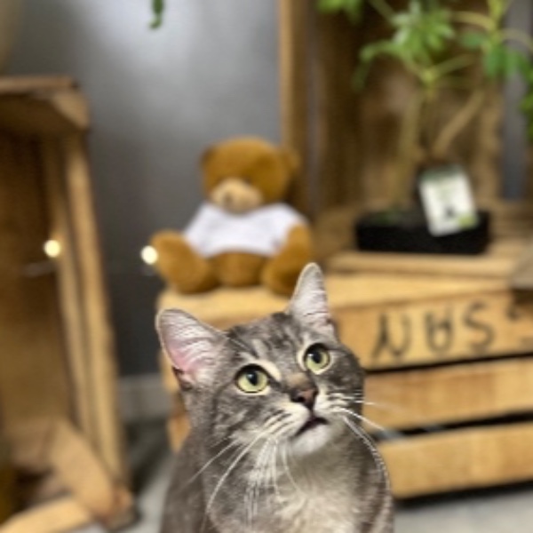 Winnie
