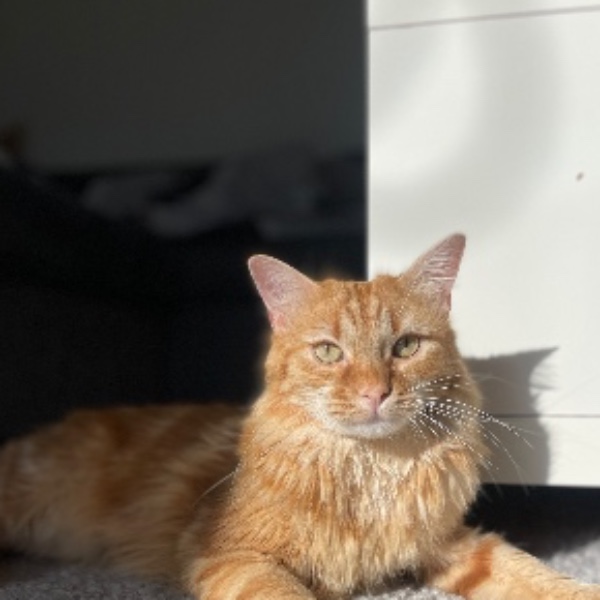 Uki