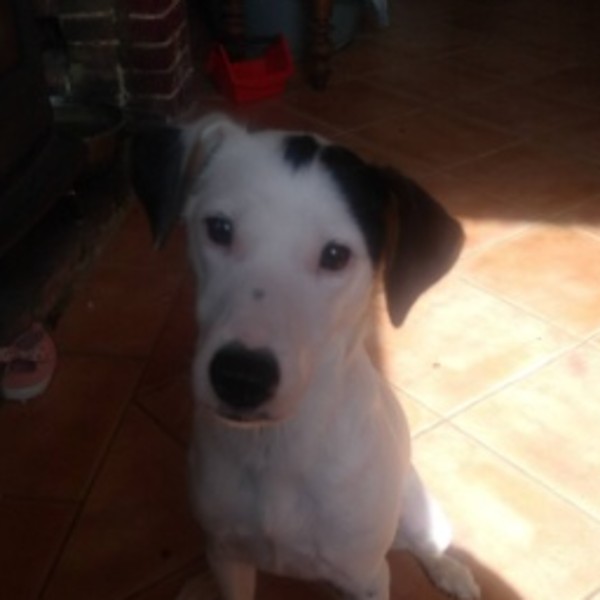 Photo de Siska