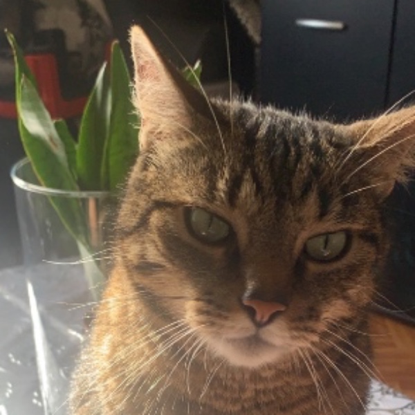 Kizzy