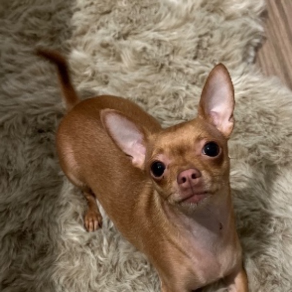 Aby