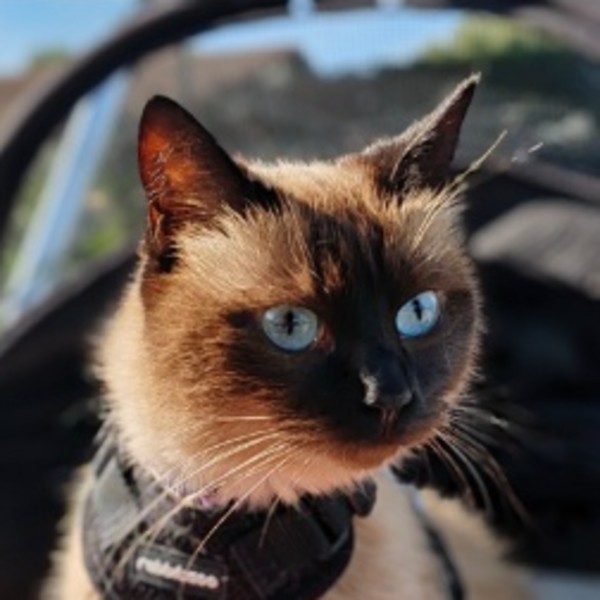 Winnie