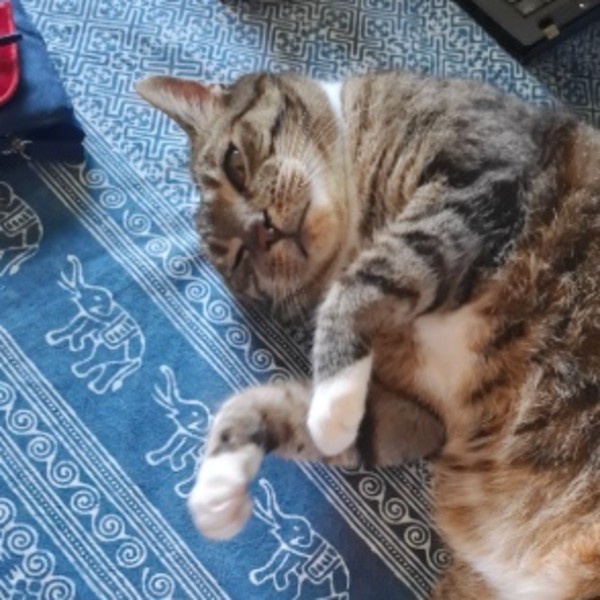 Lundi