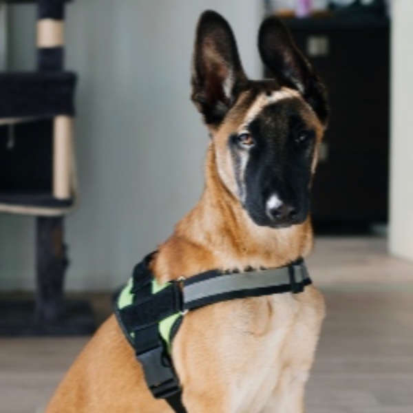Max