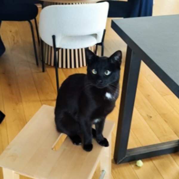 Pedro